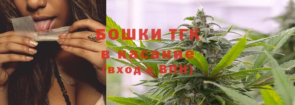 стаф Баксан